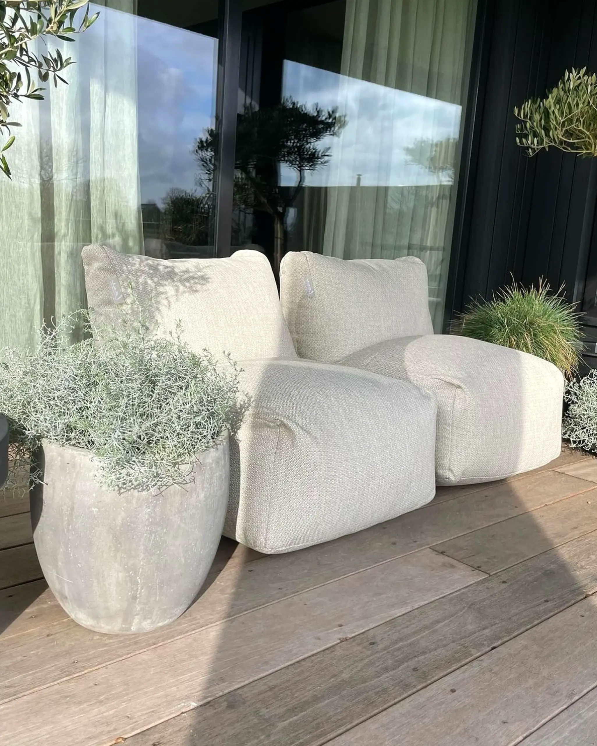 Sunny entry console draws attention to clarity while the garden edge stays ready for quiet use.