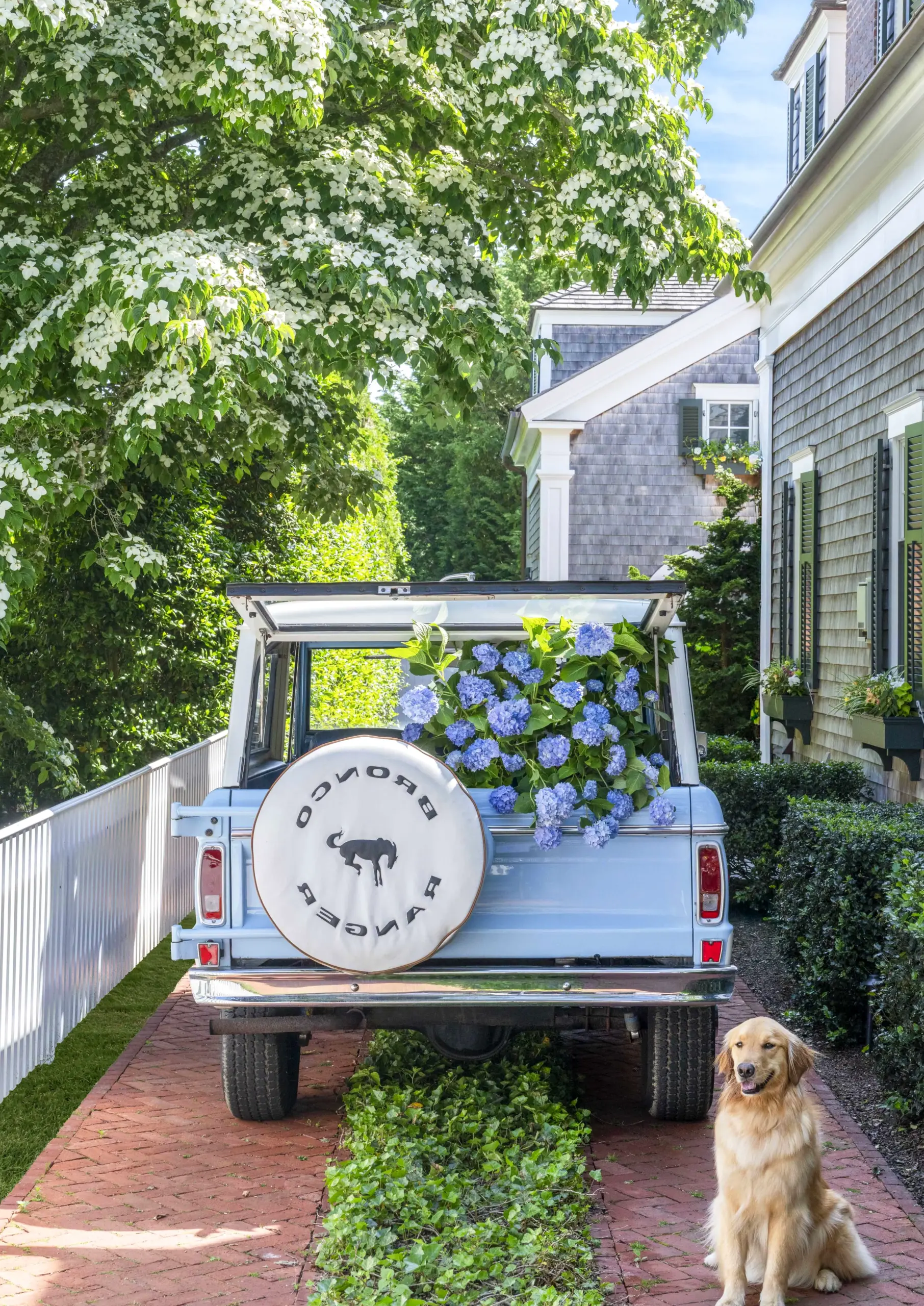 Fresh entry console brings a useful note of light, making the view feel visually grounded.