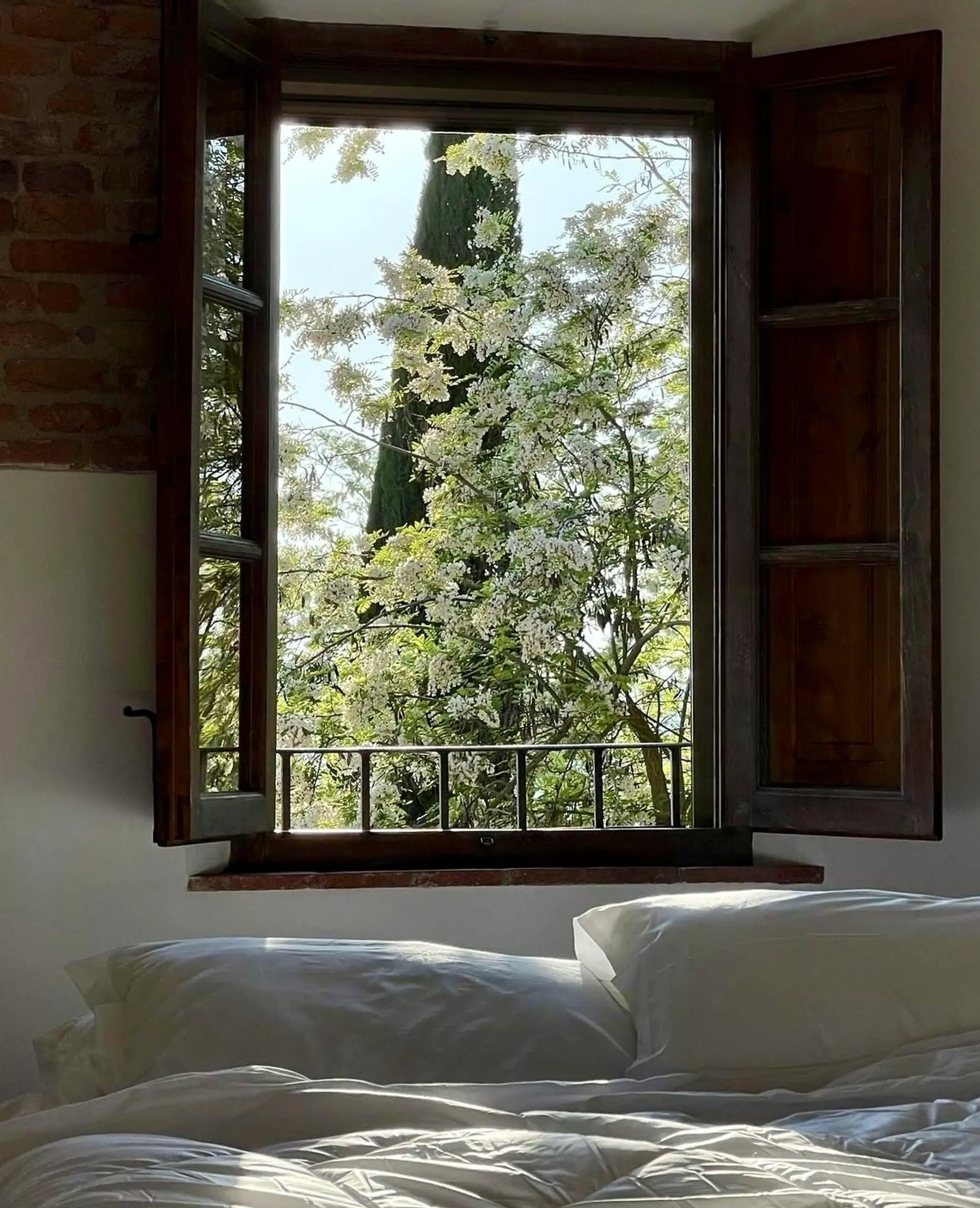Fresh green entry adds a clear layer of light, helping the sitting area feel visually grounded.